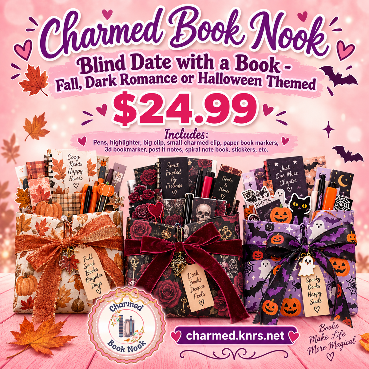 Blind Date with a Book - Wrapped with Bookish Items - $24.99
